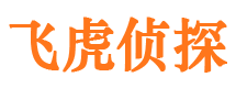 叙永侦探公司